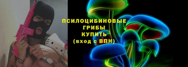 дурь Бородино