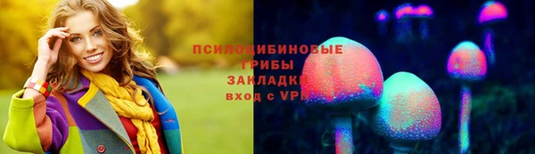 крисы Бронницы