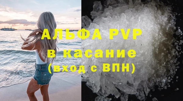 дурь Бородино