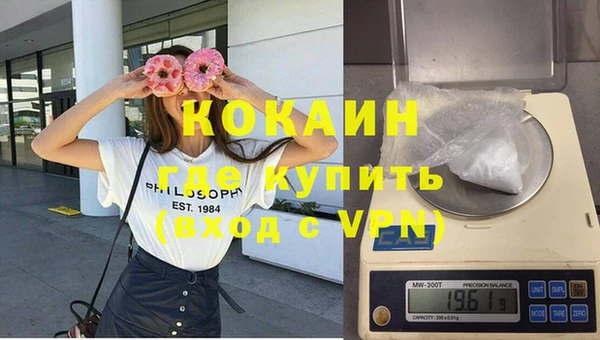 дурь Бородино