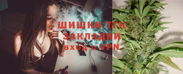 крисы Бронницы